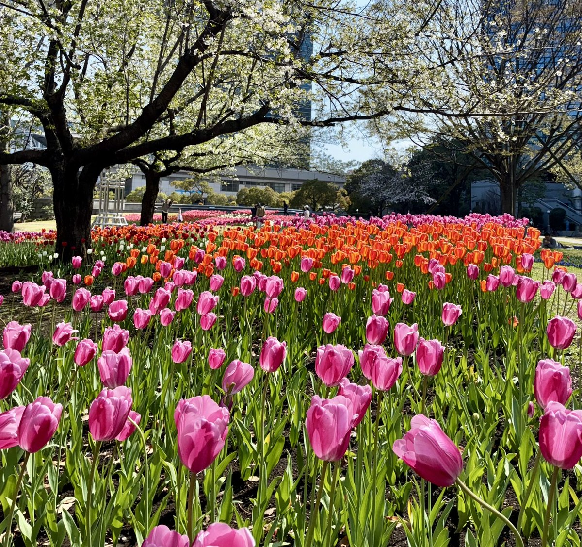 エモーション撮影会 tweet media