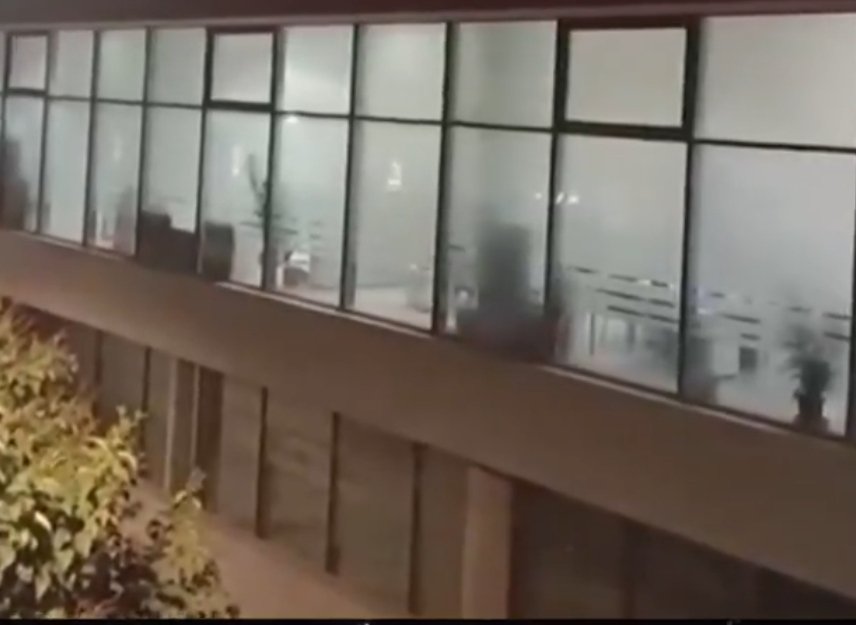 Luis Saceda Gaspar tweet media