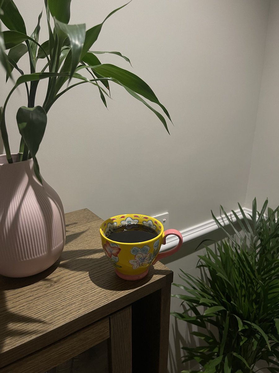 سَاره 🌙 tweet media