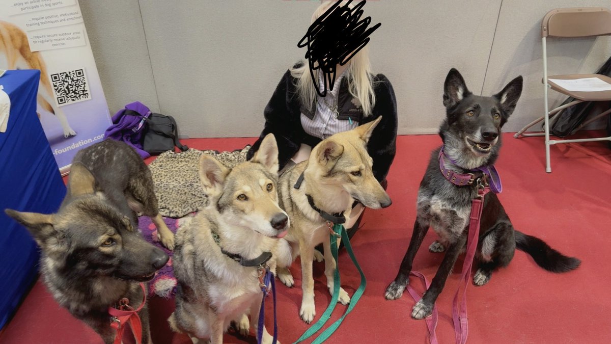 ⨯ bipsyGG /// ✖️🐇 tweet media