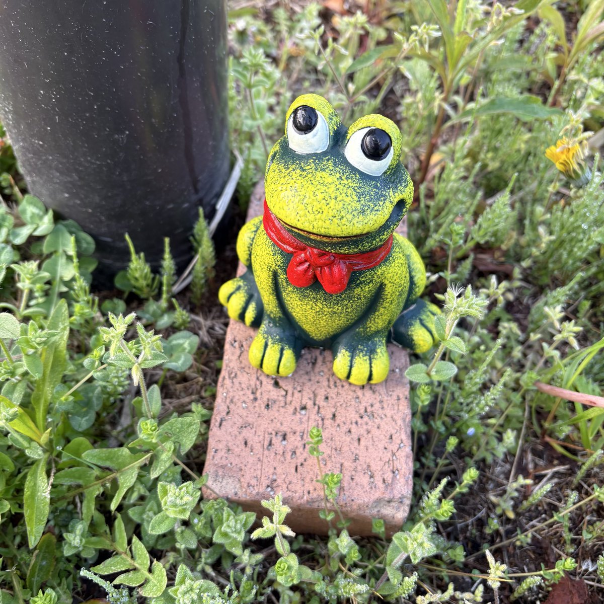 【アイジー】＋楽しそうで＊ヨカッタ＊ tweet media