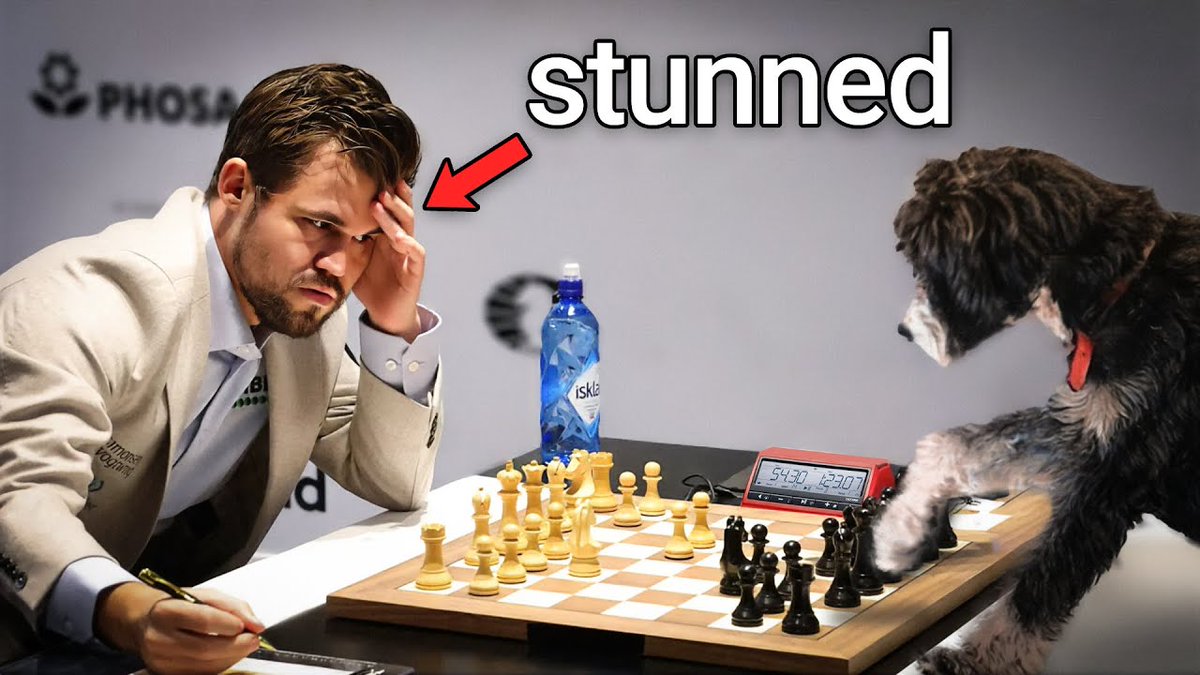 danpatrol tweet media