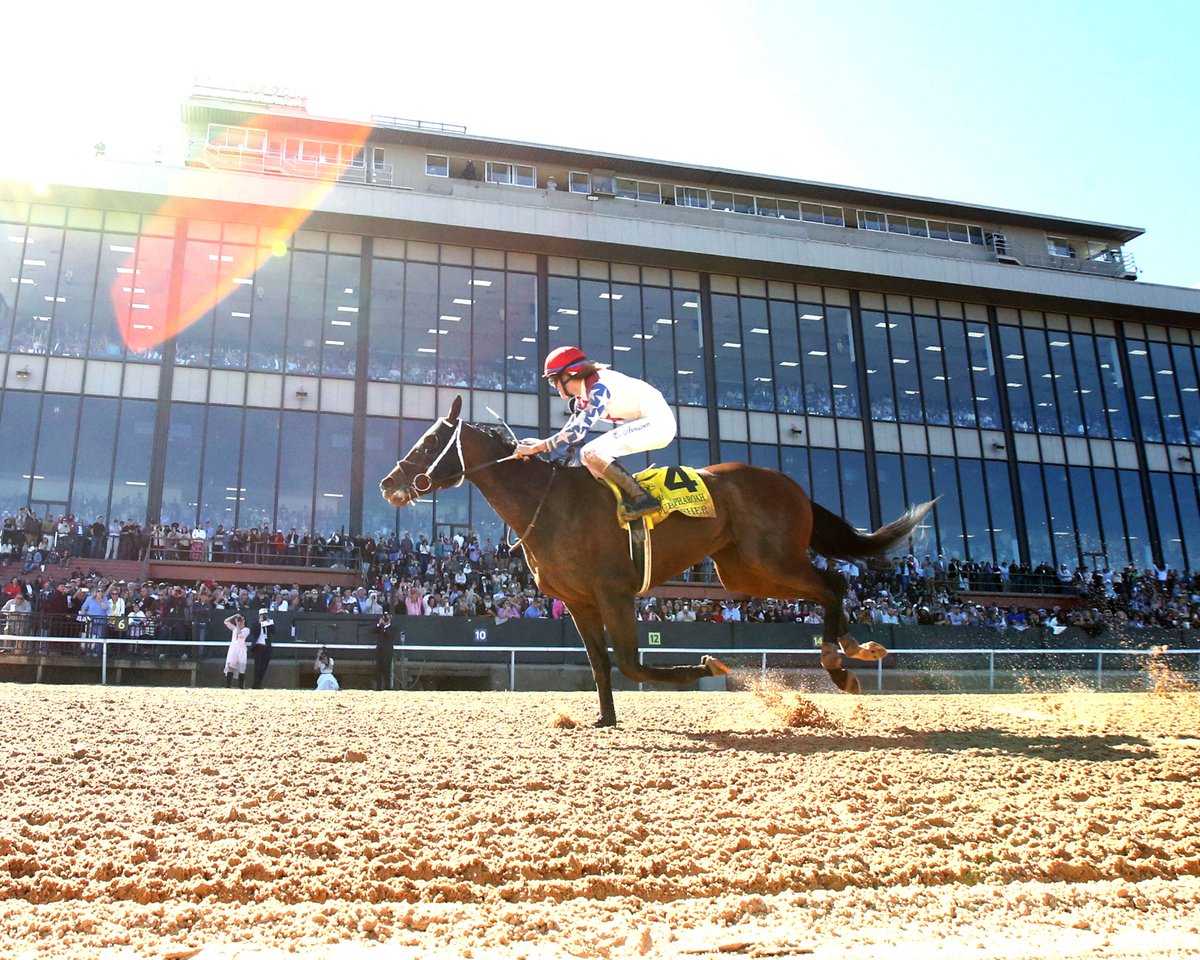 Oaklawn Hot Springs tweet media