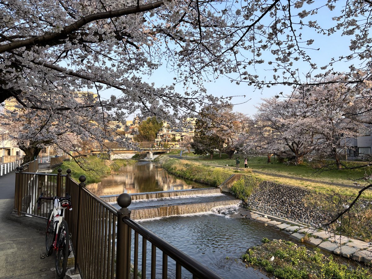 棗大福 tweet media