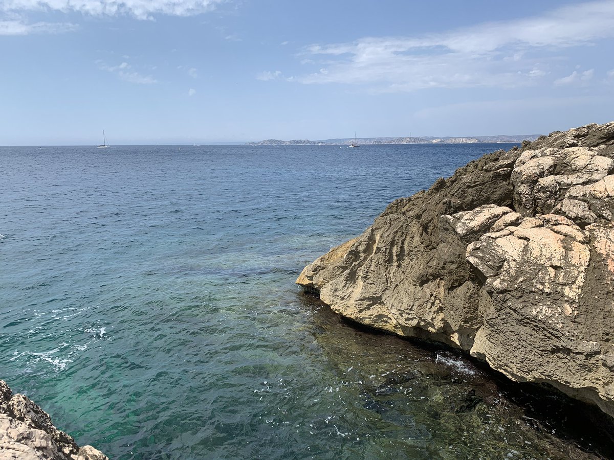 Wallabies 🦘 tweet media