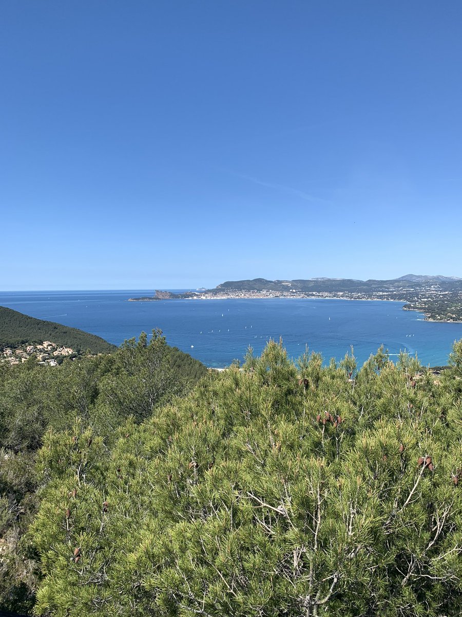 Wallabies 🦘 tweet media