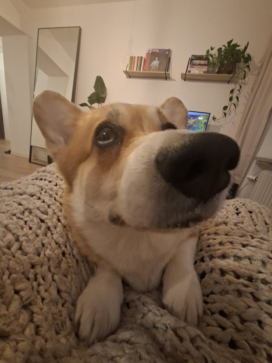 TSM Leffen tweet media