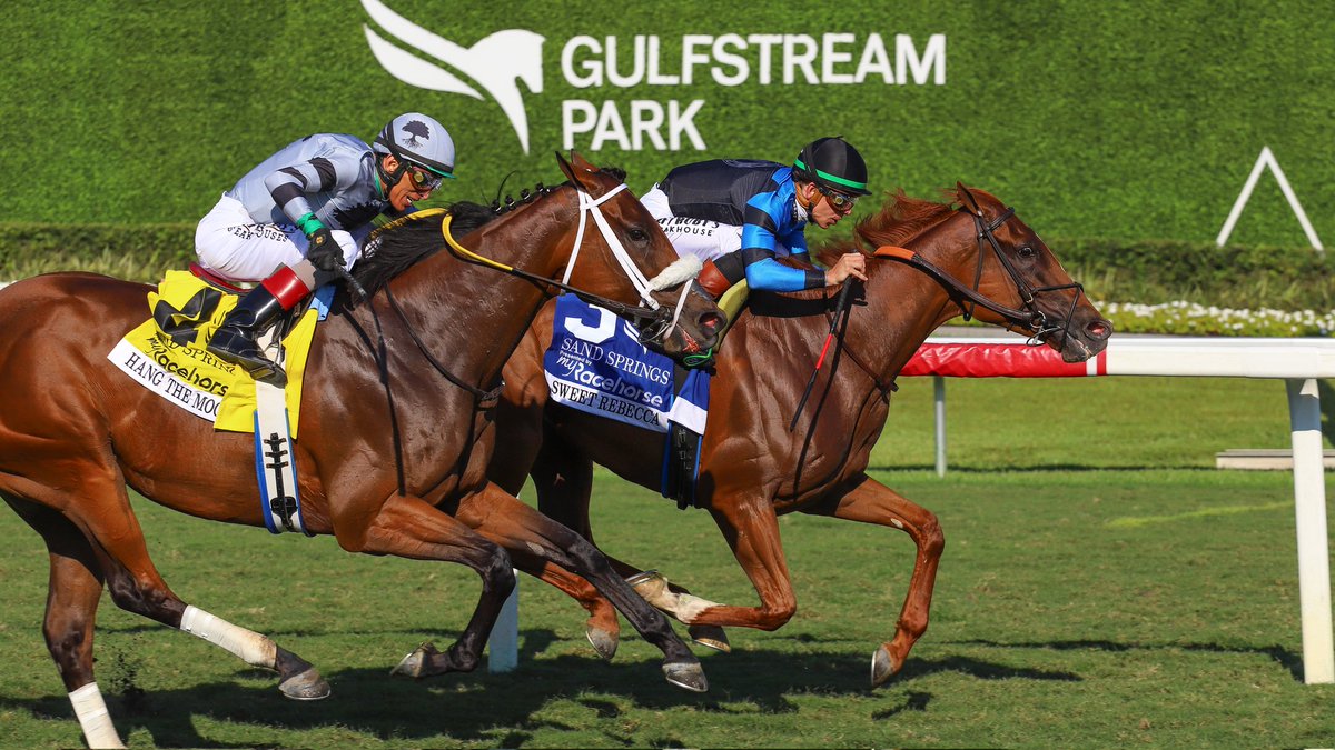 Gulfstream Park tweet media