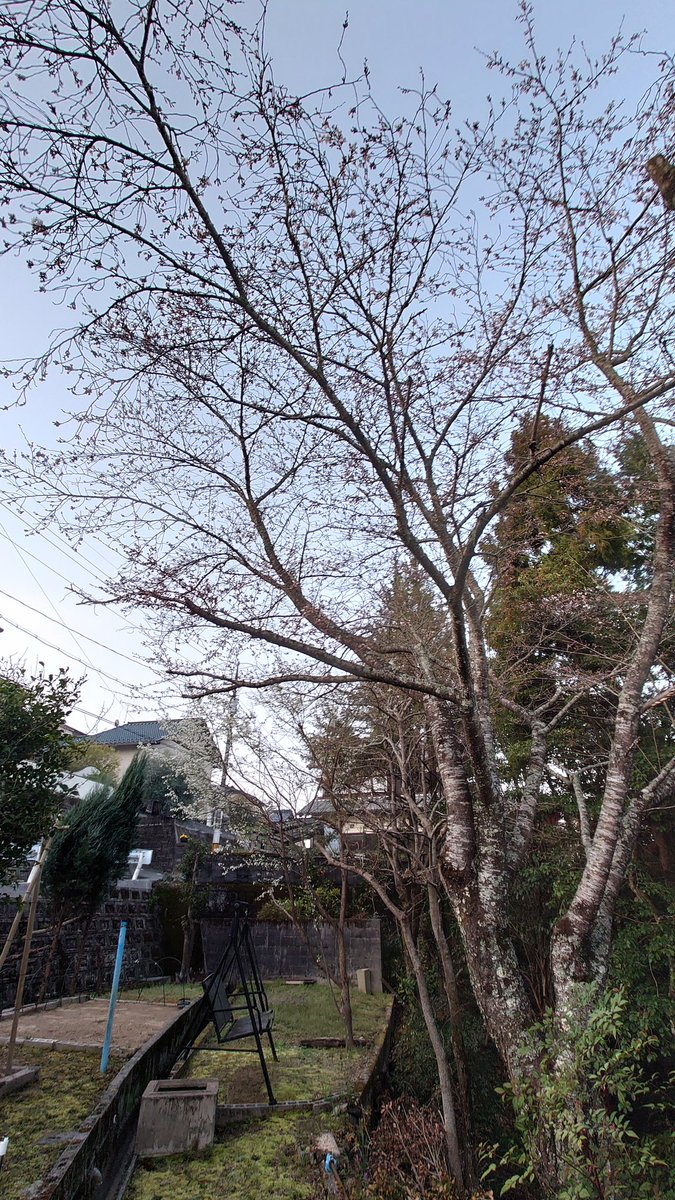 たく兄🧊🌻 tweet media