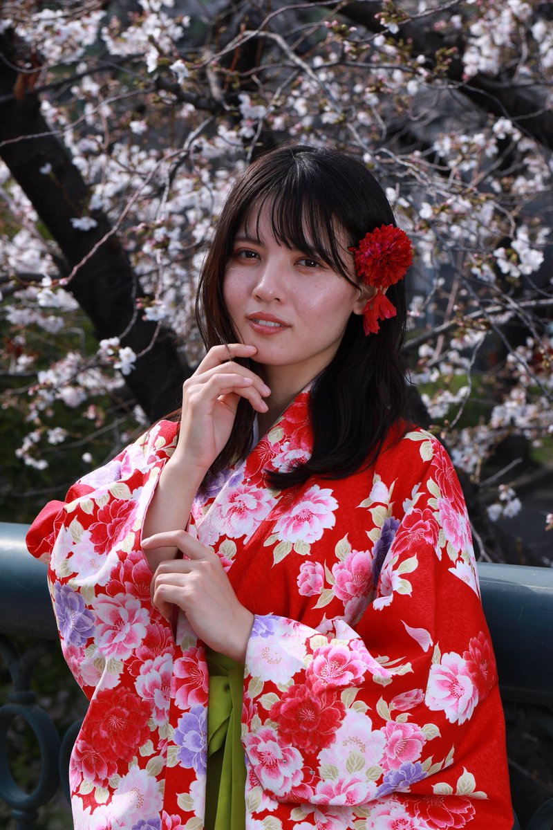 🦝ポンタ📸✨ tweet media