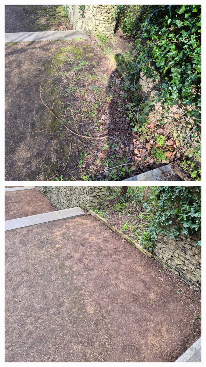 FestivalGardns's tweet image. Thank you to Steve M, Penny, Bridget and Matt for this mornings session at Festival Gardens. 

We cleared the main steps leading to the woodland trail, what a difference! 🌳 

#FestivalGardens #Volunteering