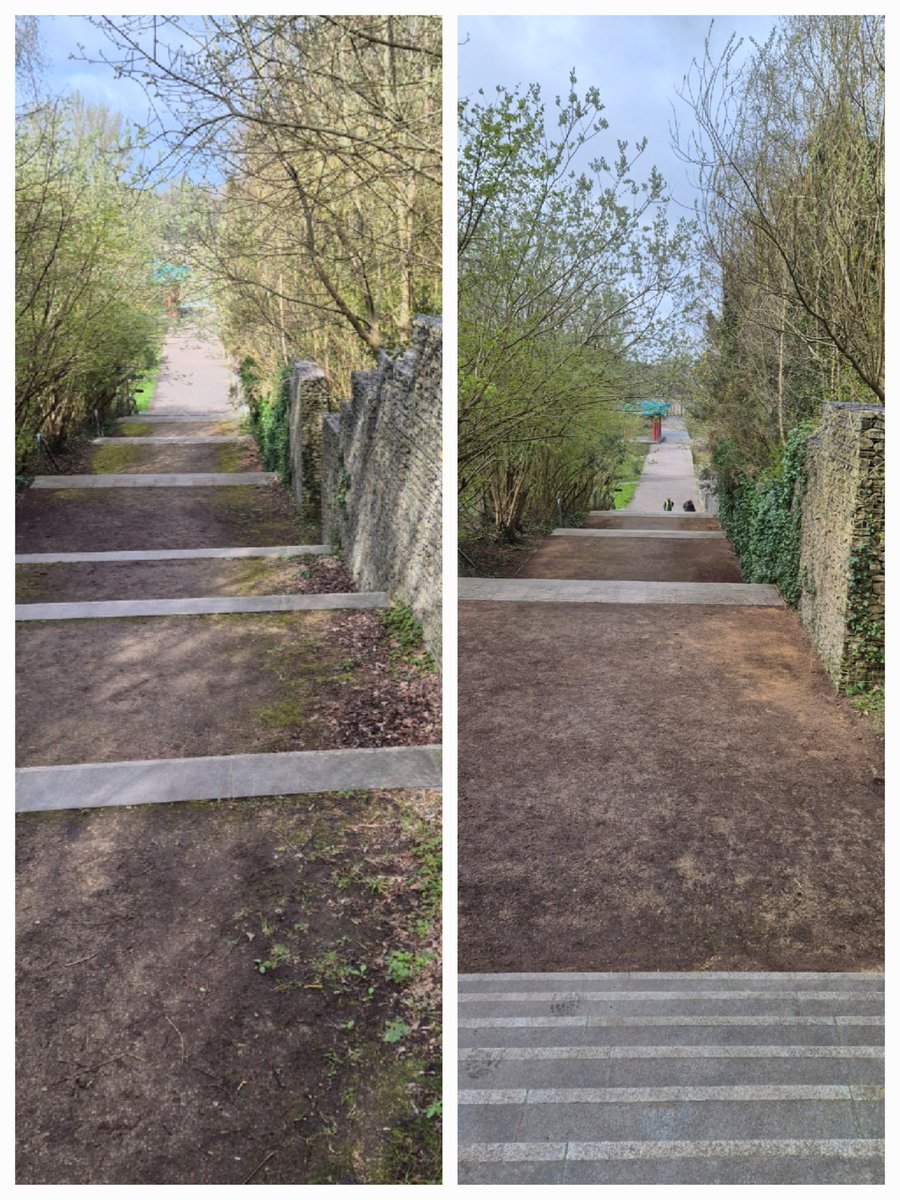 FestivalGardns's tweet image. Thank you to Steve M, Penny, Bridget and Matt for this mornings session at Festival Gardens. 

We cleared the main steps leading to the woodland trail, what a difference! 🌳 

#FestivalGardens #Volunteering