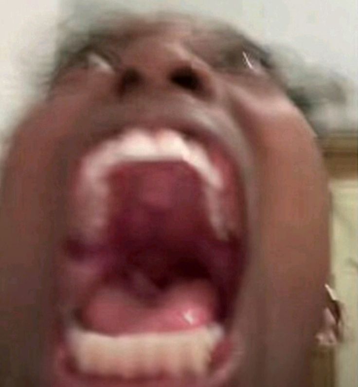 vale🐛 tweet media