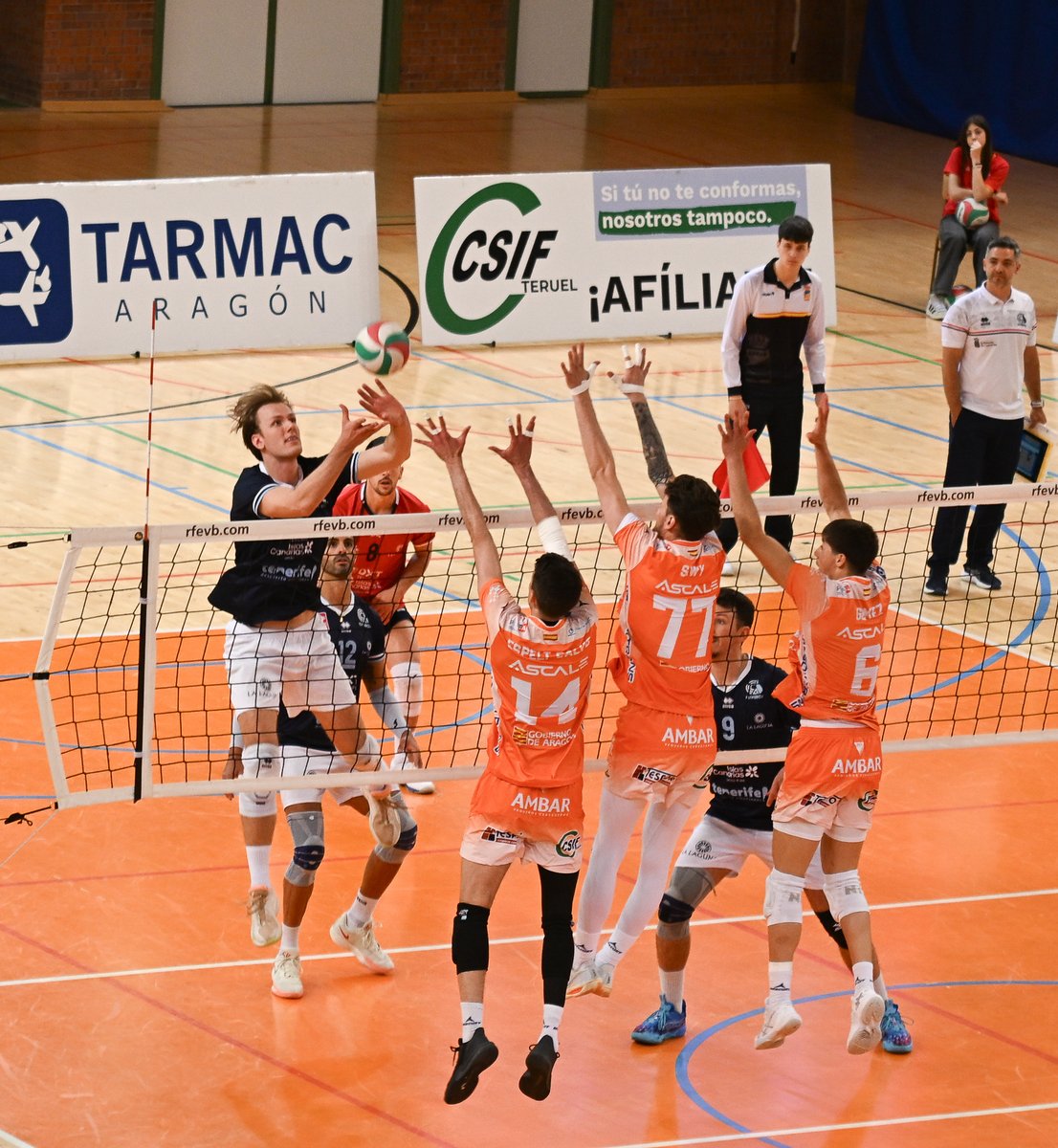 Real Federación Española de Voleibol tweet media