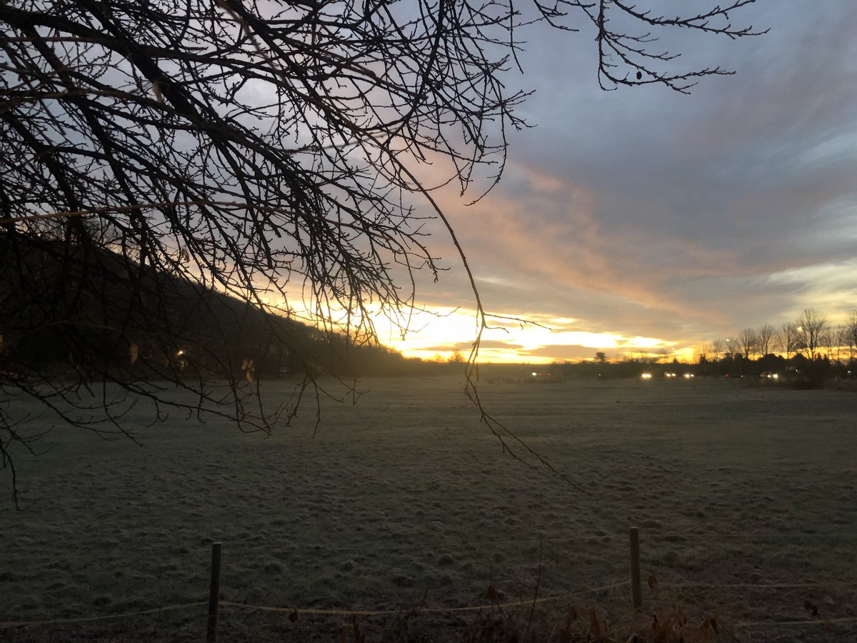 Marion Fiedler tweet media