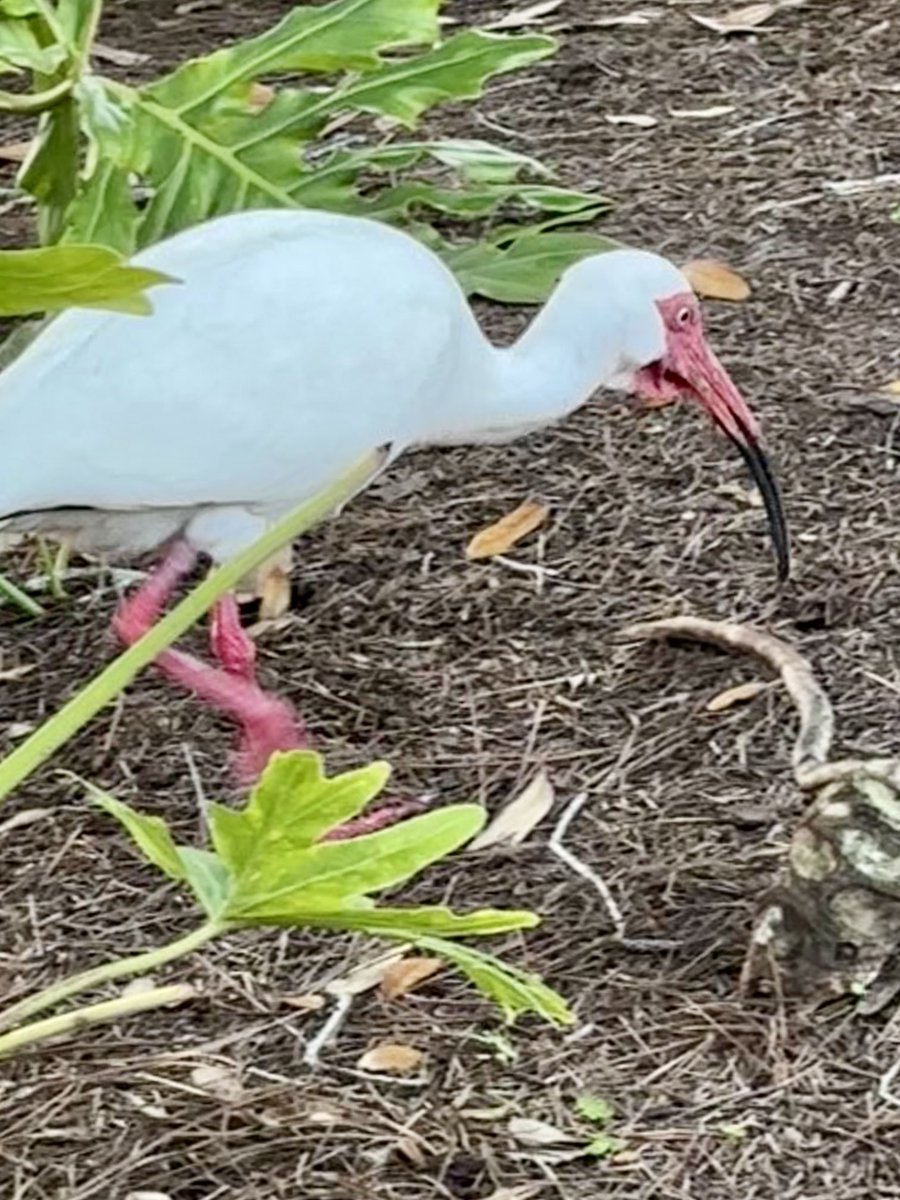 Steve Richards tweet media