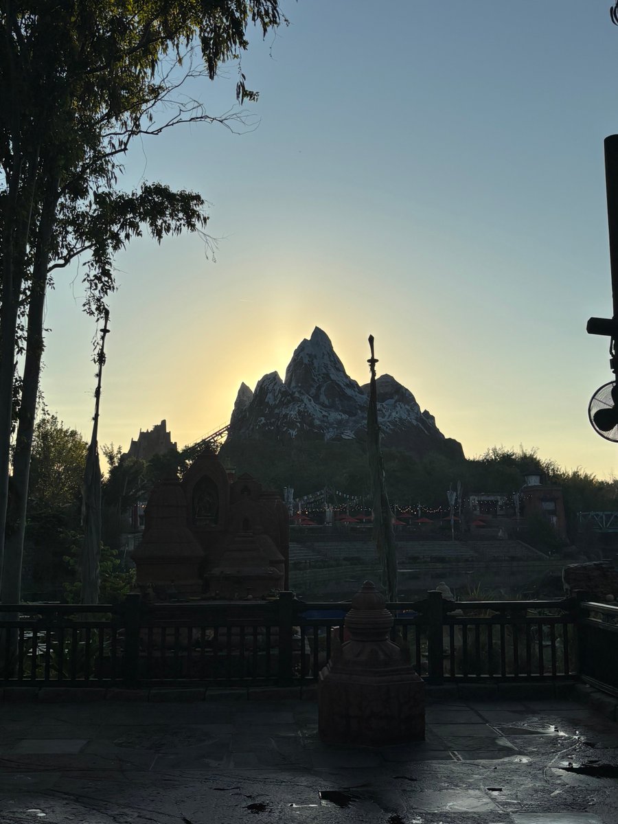 Steve Richards tweet media