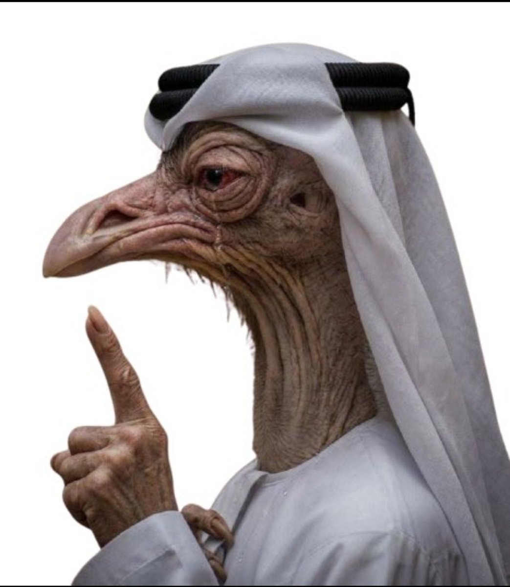 سعـVipـودي tweet media