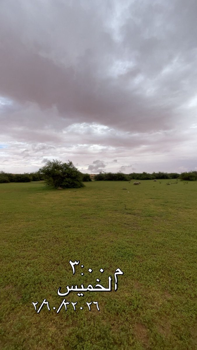 Haifaa Alrashoud tweet media