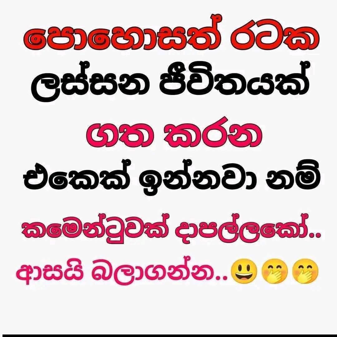 Jene Suisrien tweet media