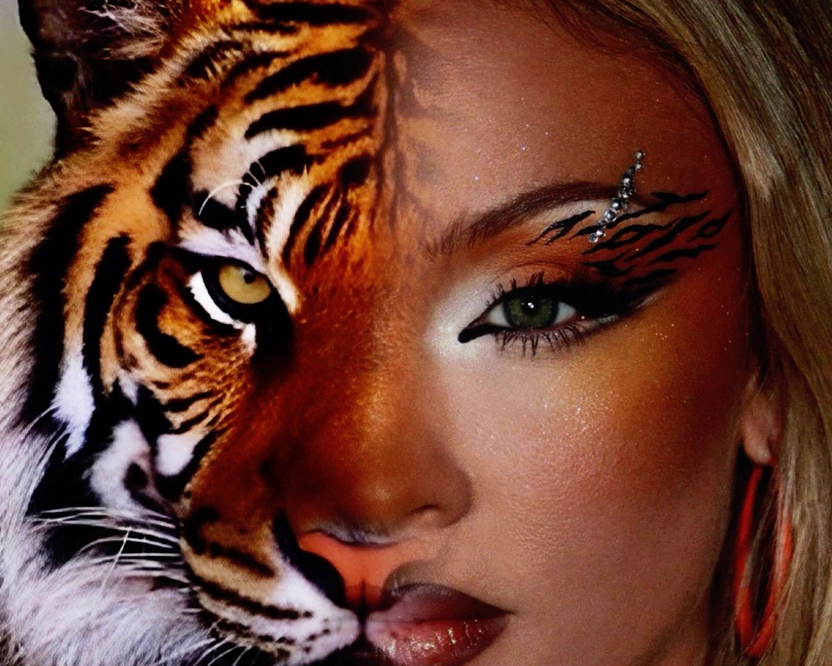 rina 𐚁 tweet media