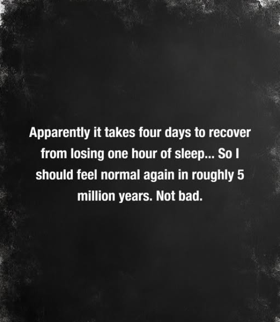 The Rubber Chicken🇨🇦 tweet media