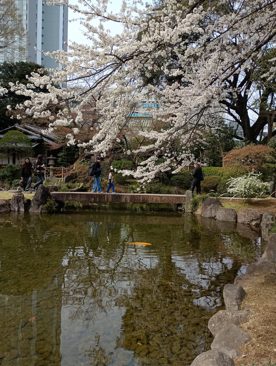 token✈️（トークン） tweet media