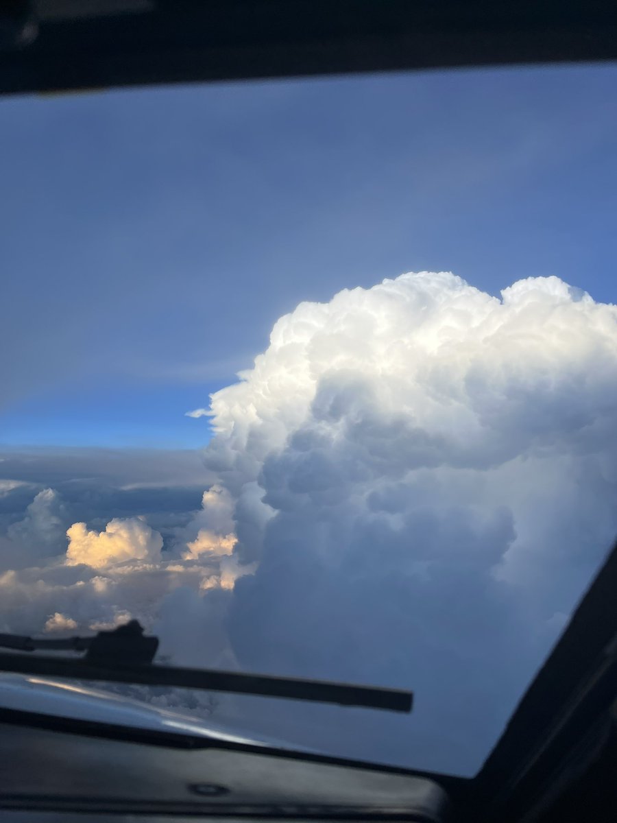 Fremen Madruga tweet media