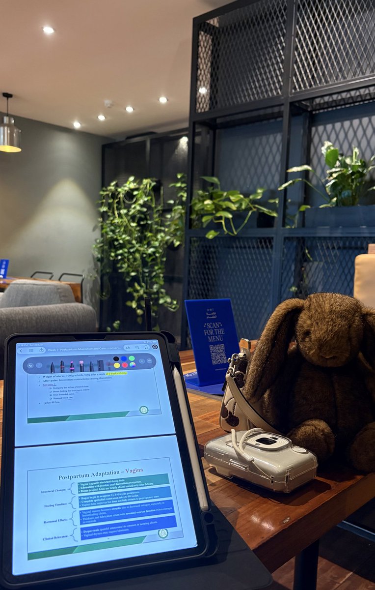 Wejdan K B tweet media