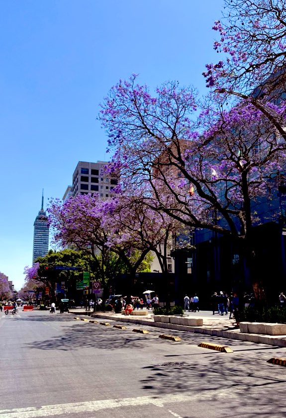 Sury Bonfil ✨ tweet media