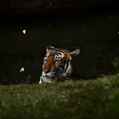 Bag Worker 5000 tweet media