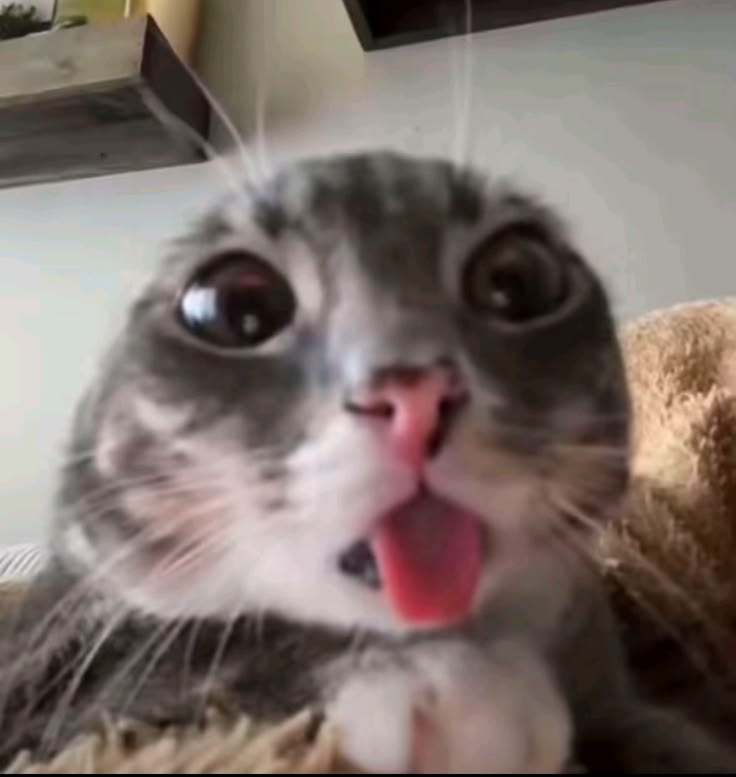 N Λ T H ! tweet media