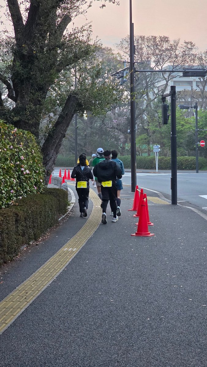 さくら100% tweet media