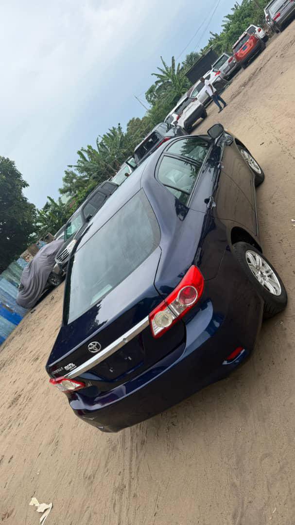 B¹G ZIM tweet media