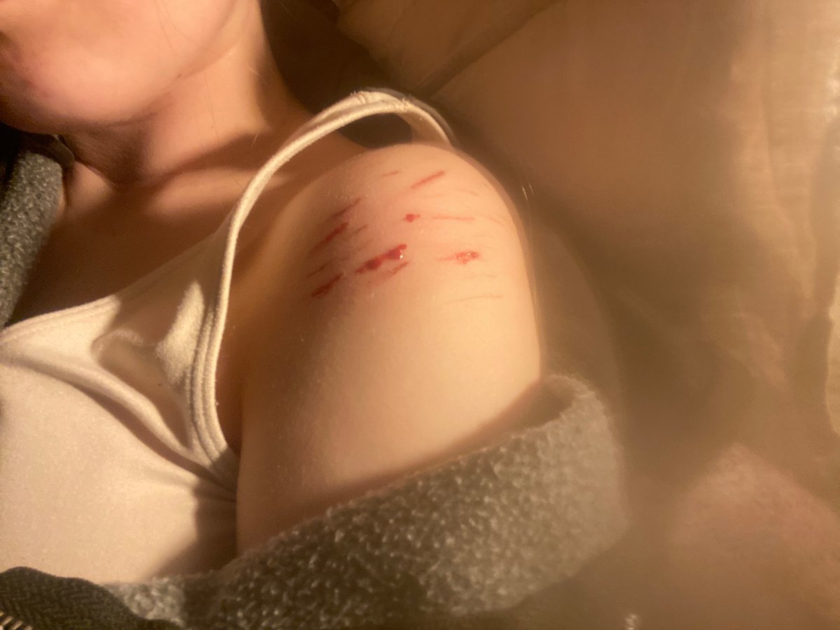 liza l shed twt ݁⋆⭒˚.⋆ tweet media