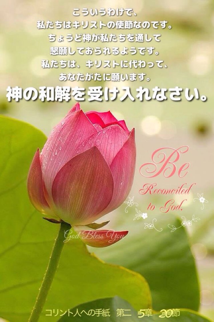 Love♡Jesus tweet media