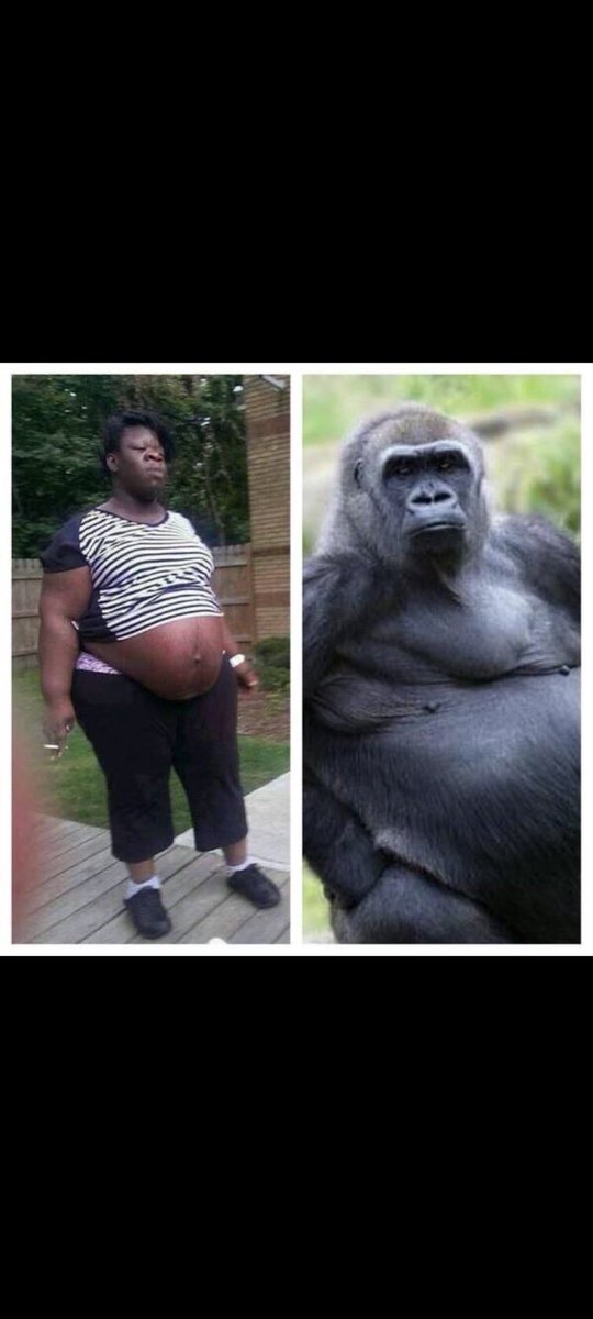 Inferno Ovhell tweet media