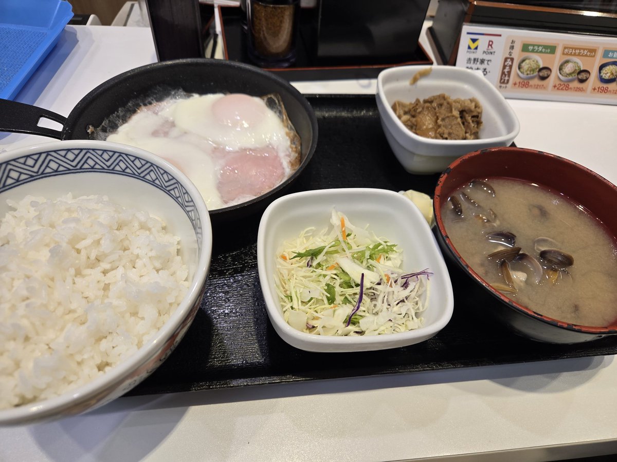 ばーちー犬民 tweet media