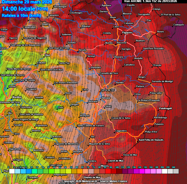 Marc Gassó Torrents tweet media
