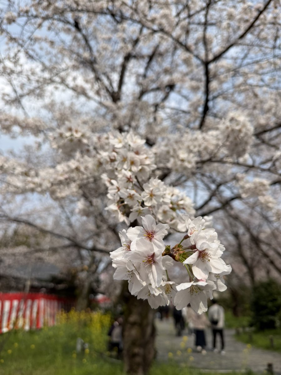 セルジオ tweet media