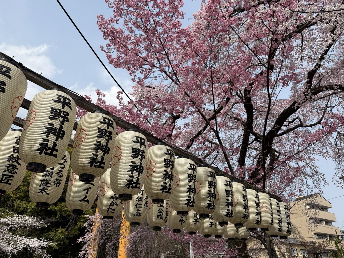 セルジオ tweet media