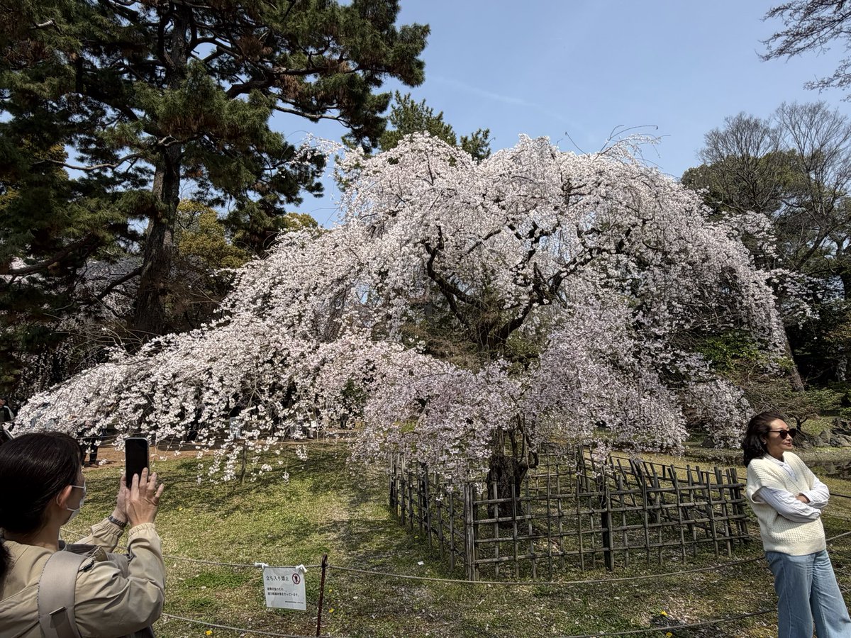 セルジオ tweet media