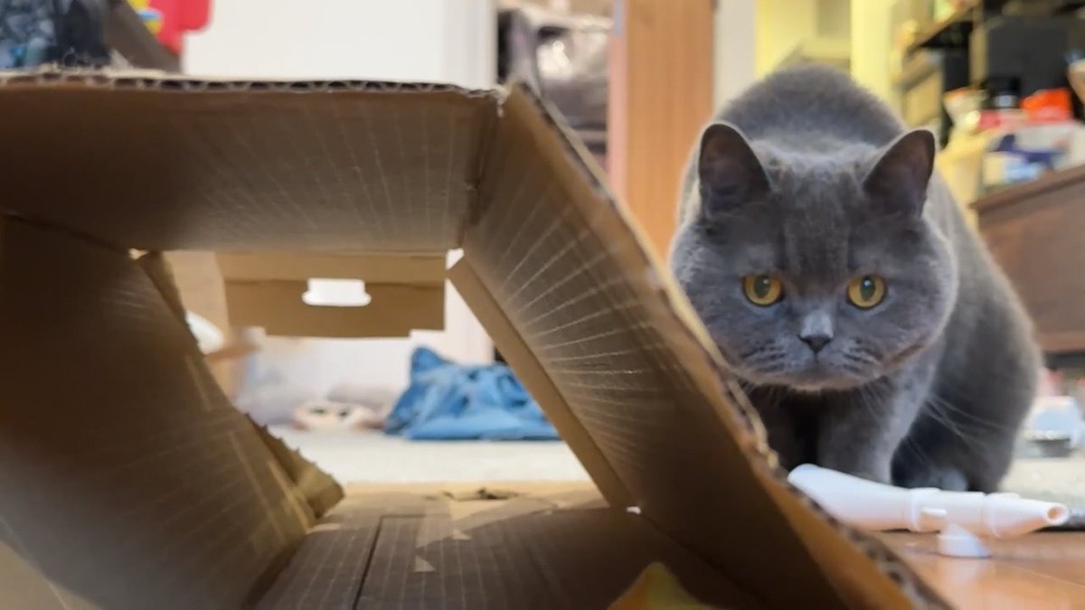 クリッパーびんびん年中無休 tweet media