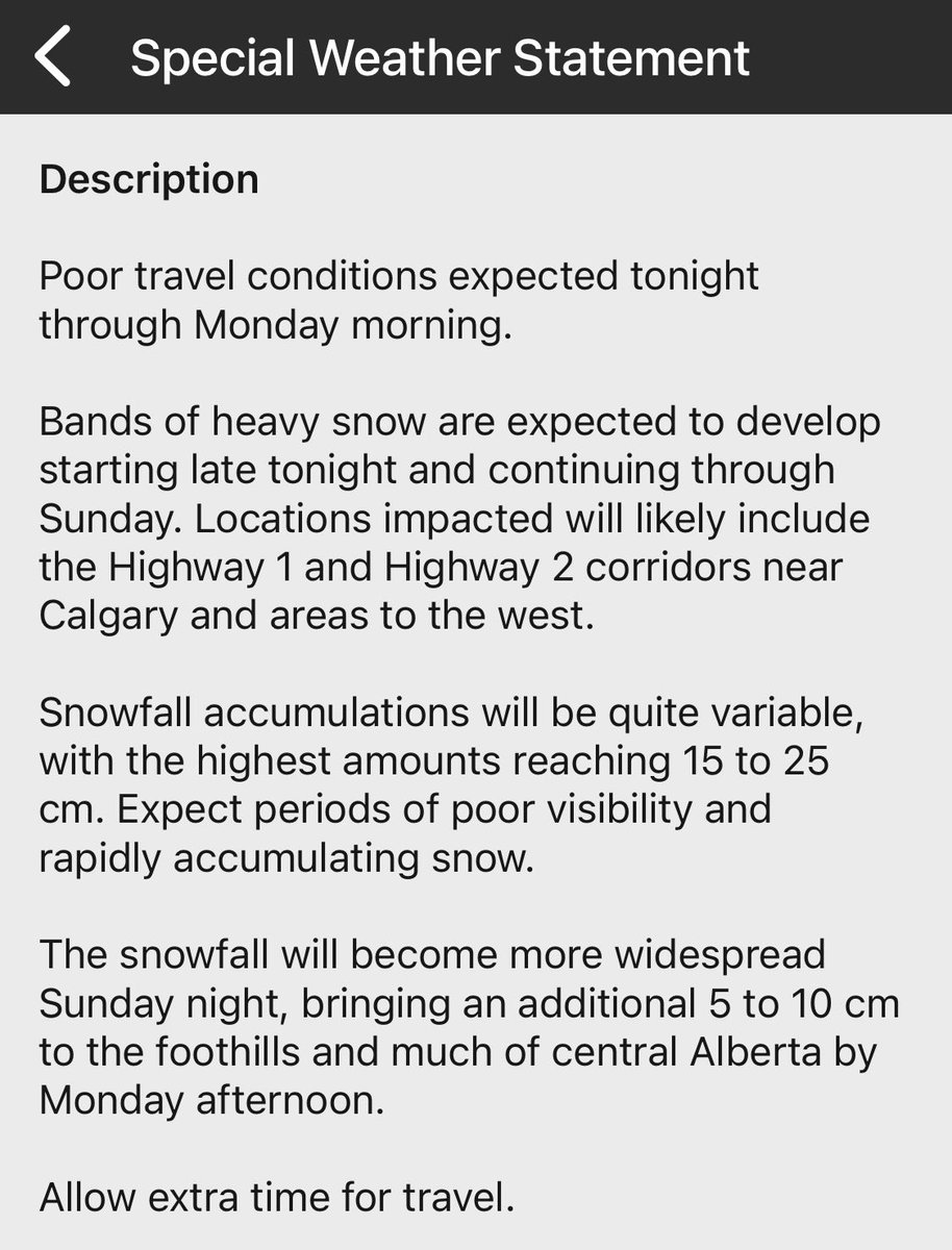 Tracey 🇨🇦🐴🏈 tweet media