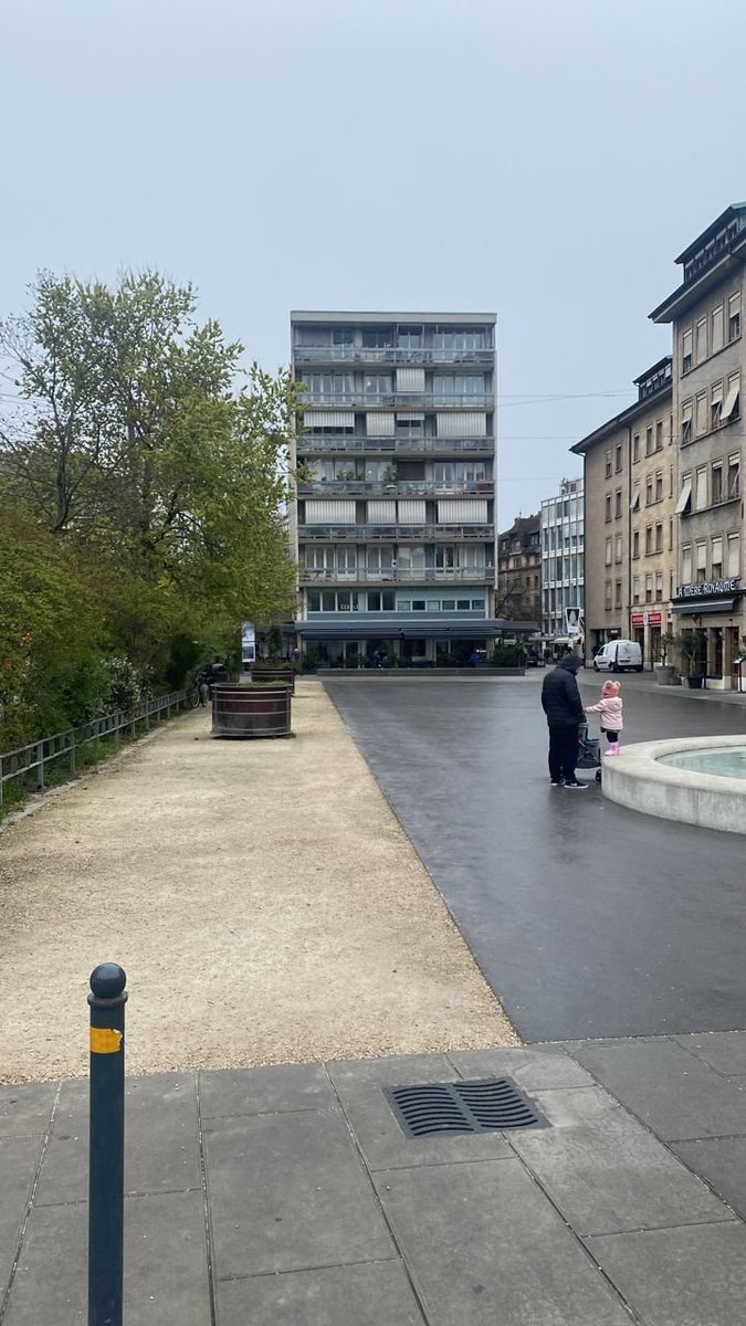 Teimur-golden tweet media