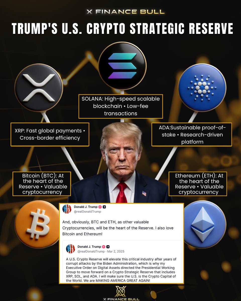 X Finance Bull tweet media