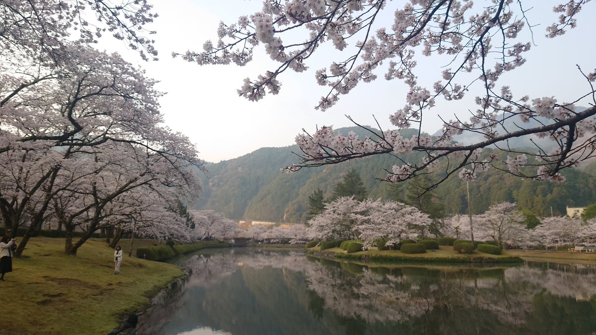 デミア@ZX-25R tweet media