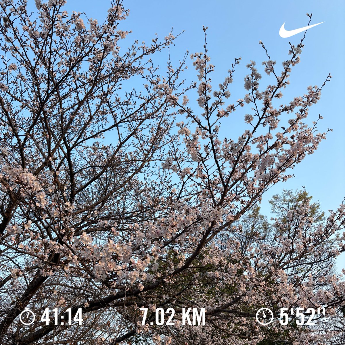 temaecoffee tweet media