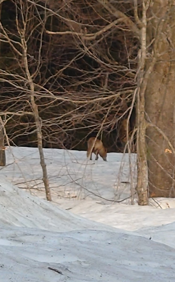 あおてん⛩ tweet media