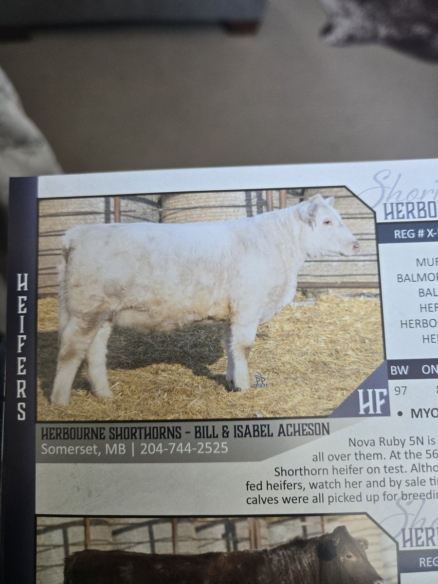 Trevor Carlson ©️ tweet media